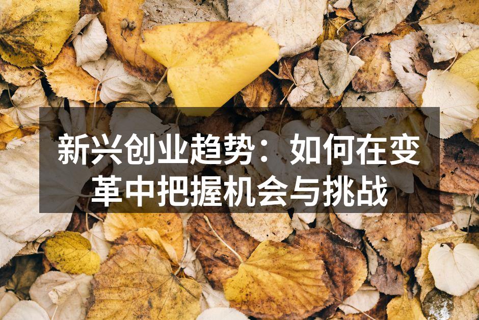 新兴创业趋势：如何在变革中把握机会与挑战